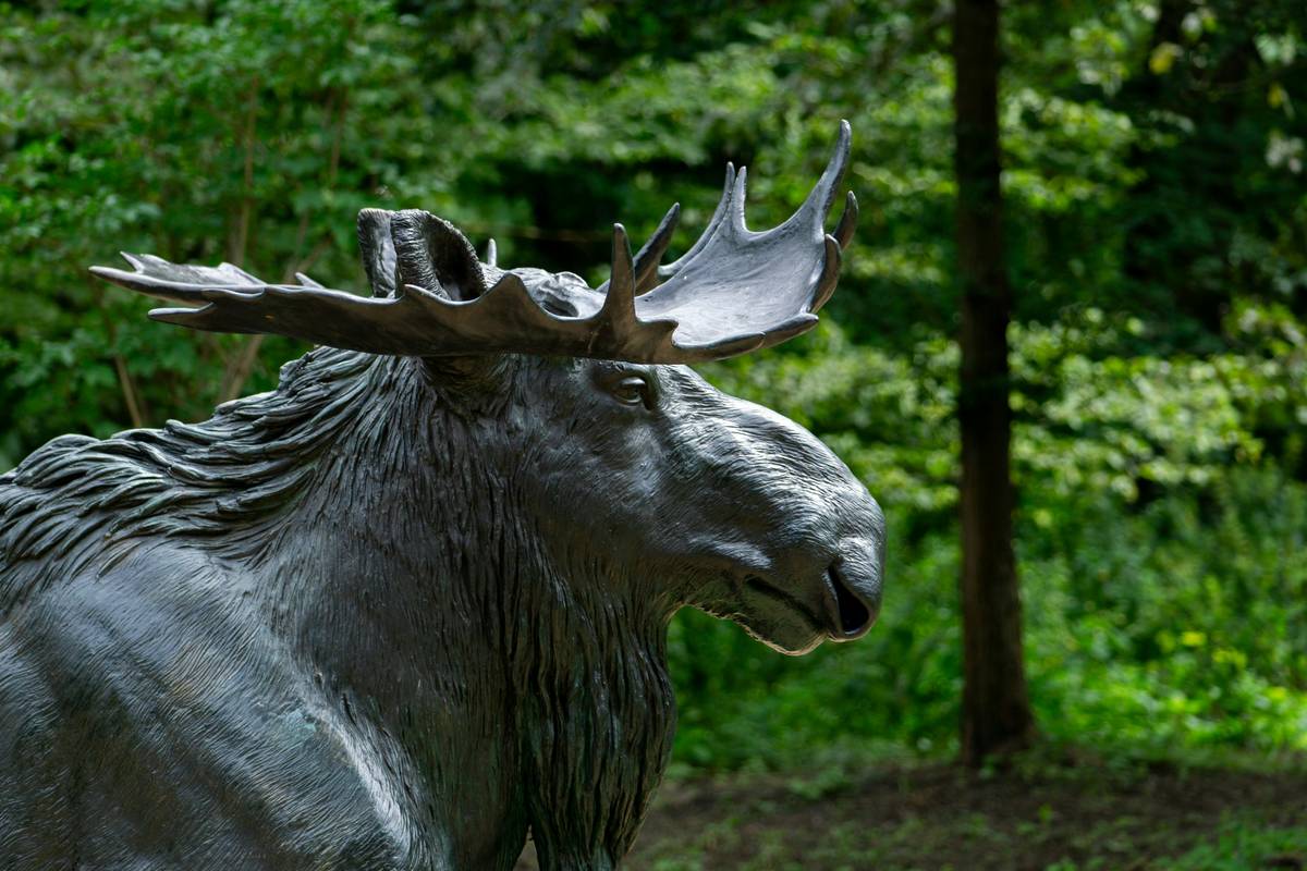Bar chart showing 68% rise in wildlife decor searches, with moose as top mammal in 2023