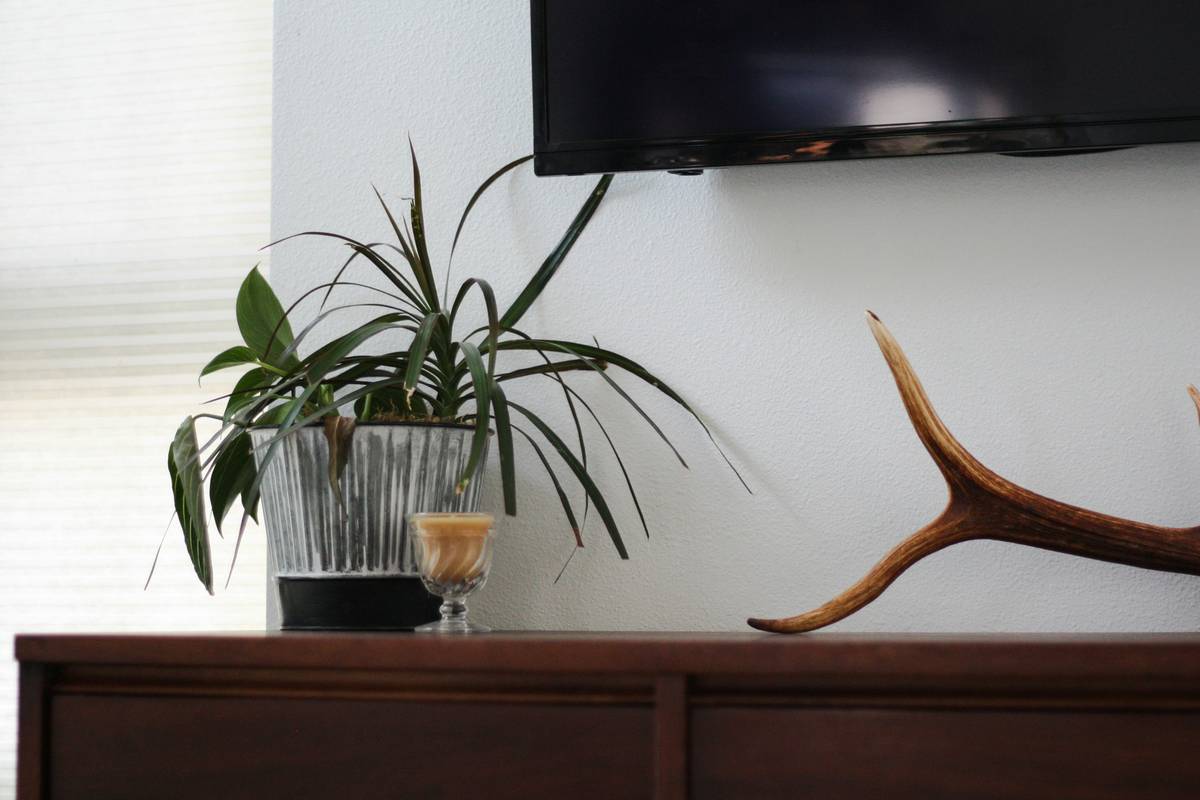 Why Your Home Feels Incomplete Without Large Moose Figurines Home Decor